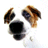 Gawny7789's Avatar